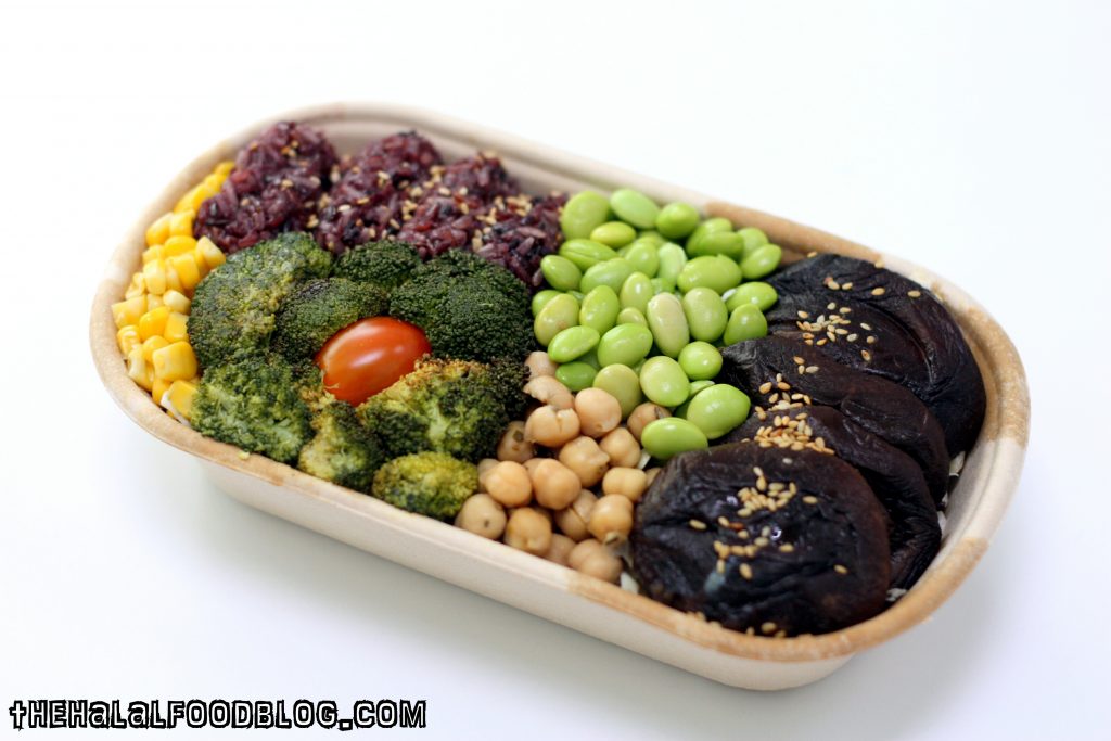 Lean Bento 45 Protein Garden Salad Bento